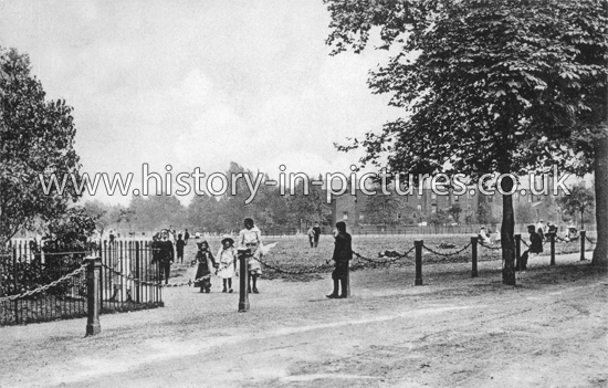 South Hackney Common, Hackney, London. c.1906